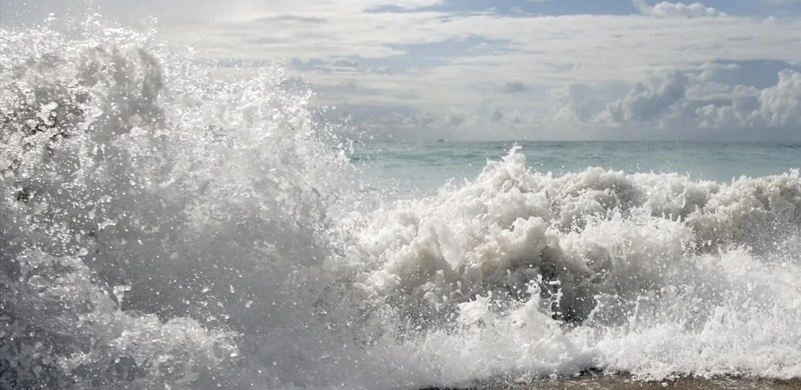 Streitschlichten Berlin, Coaching Berlin